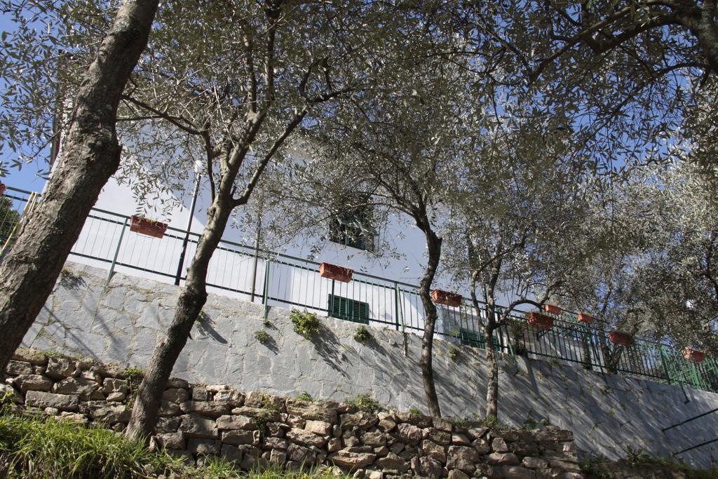 La Spezia Holidays' Rooms Εξωτερικό φωτογραφία
